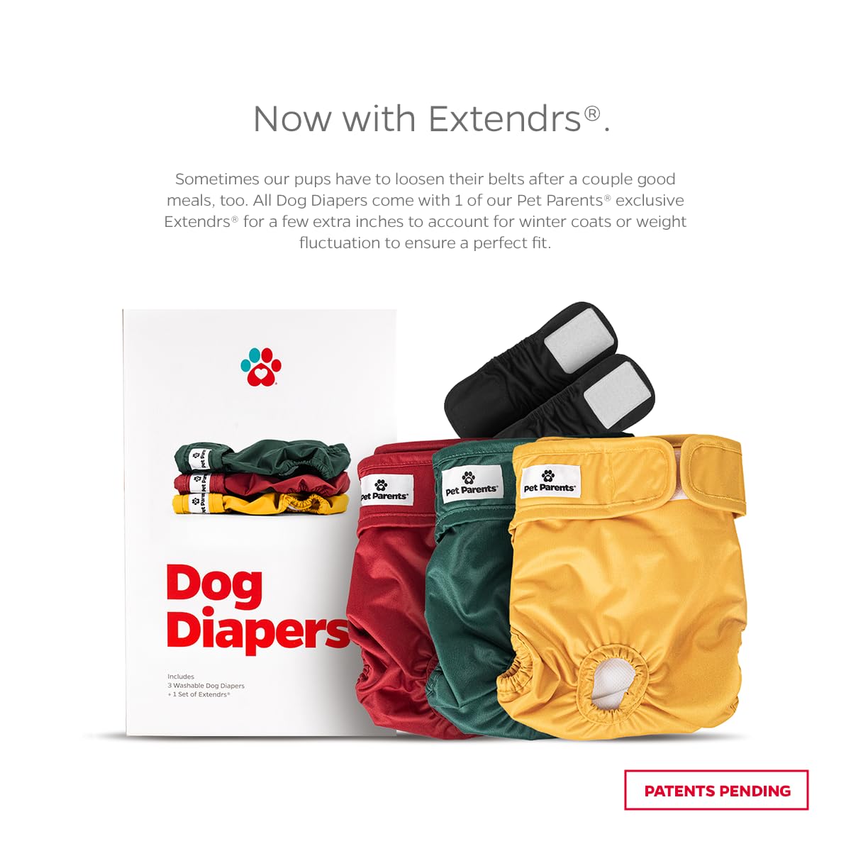 Pet Parents Washable Dog Diapers back view shows secure Velcro closure.