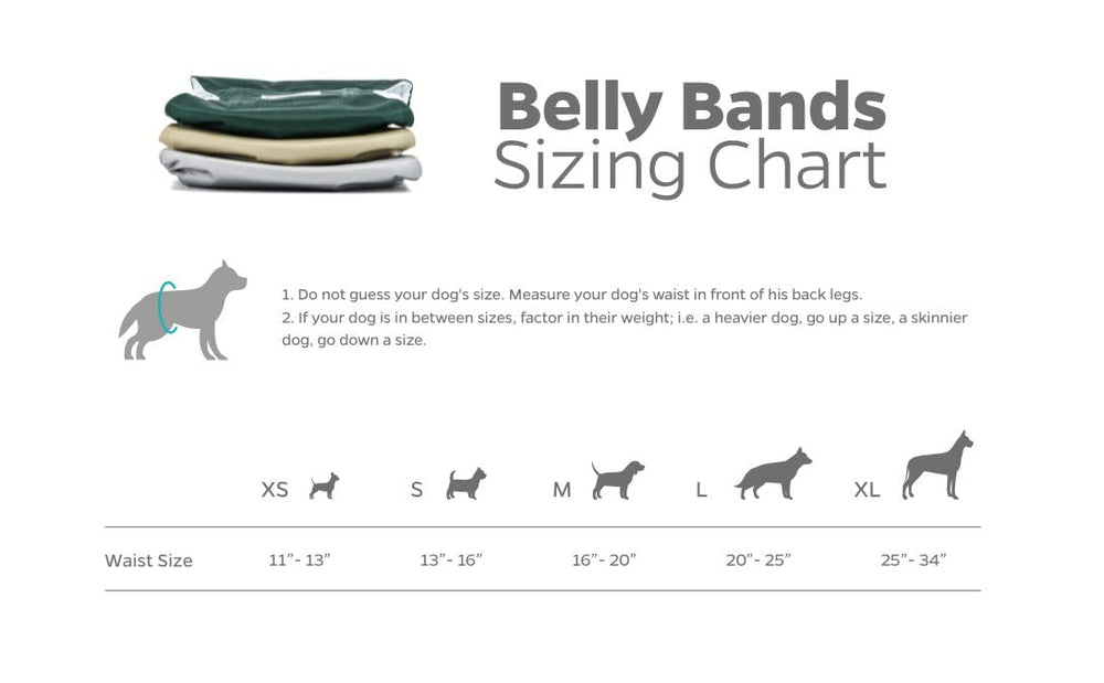Pet Parents waterproof outer layer blocks leaks on rugs and furniture.