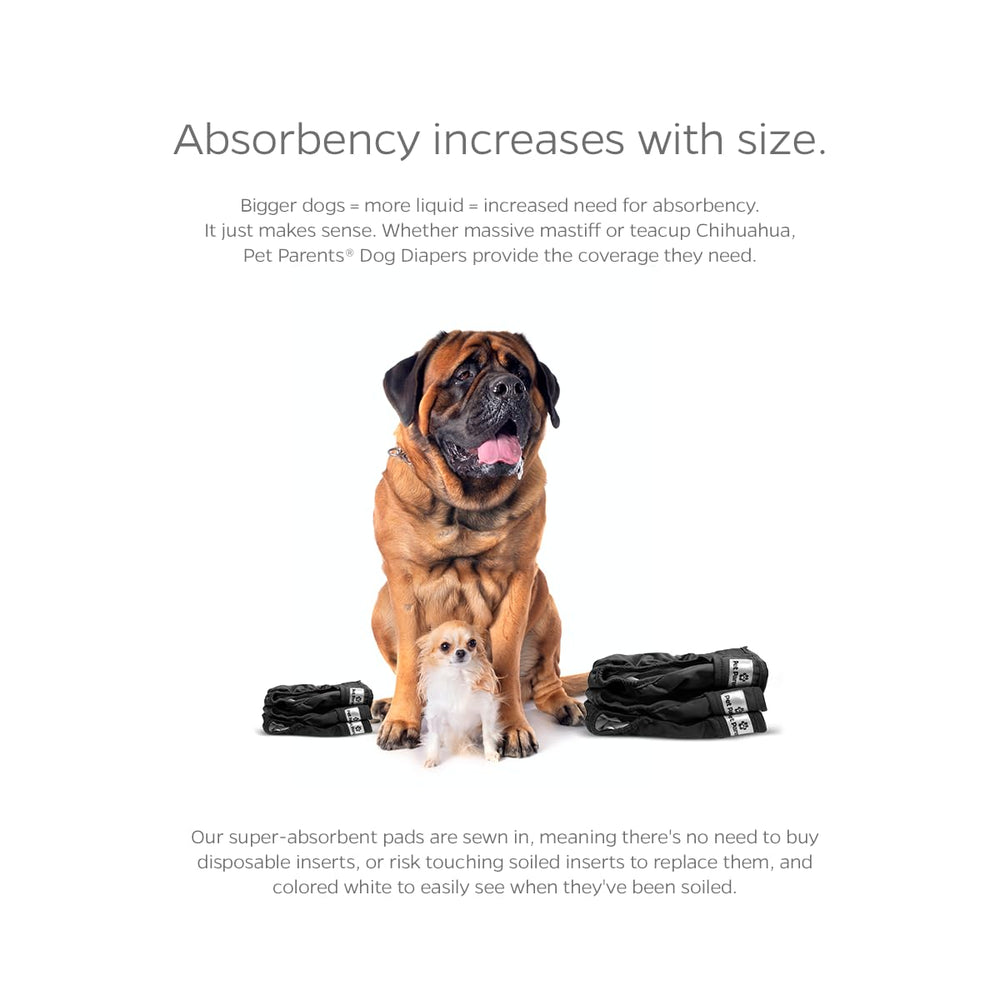 Pet Parents wickquick absorbent layer keeps moisture away for dry lounging