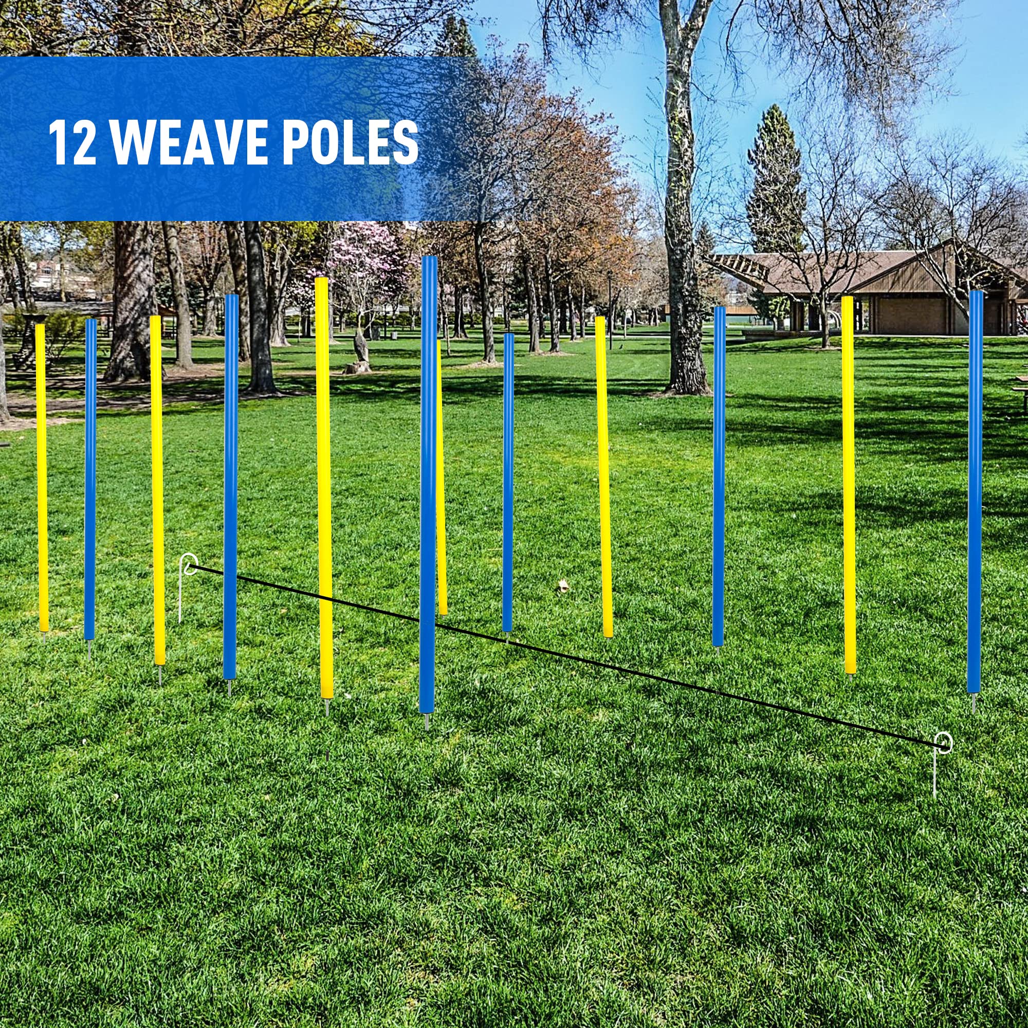 Pet Prime dog agility exercise in action with poles.