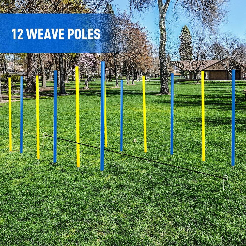 Pet Prime dog agility exercise in action with poles.