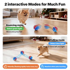 Pet Prime ball in irregular rolling mode with flashing lights during playtime.