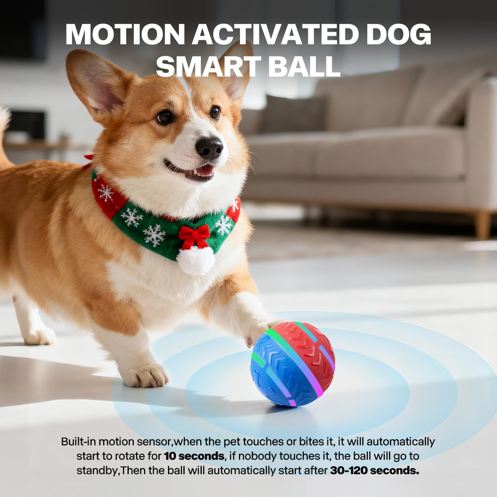 Pet Prime ball toy LED light enhances visibility during dusk play sessions