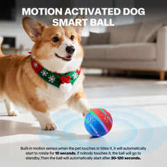 Pet Prime ball toy LED light enhances visibility during dusk play sessions