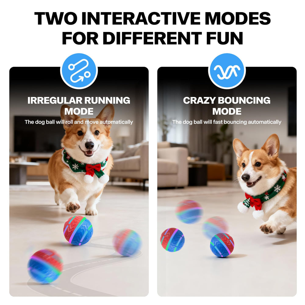 Pet Prime ball toy motion activation demonstrates touch-activated start for easy fetch