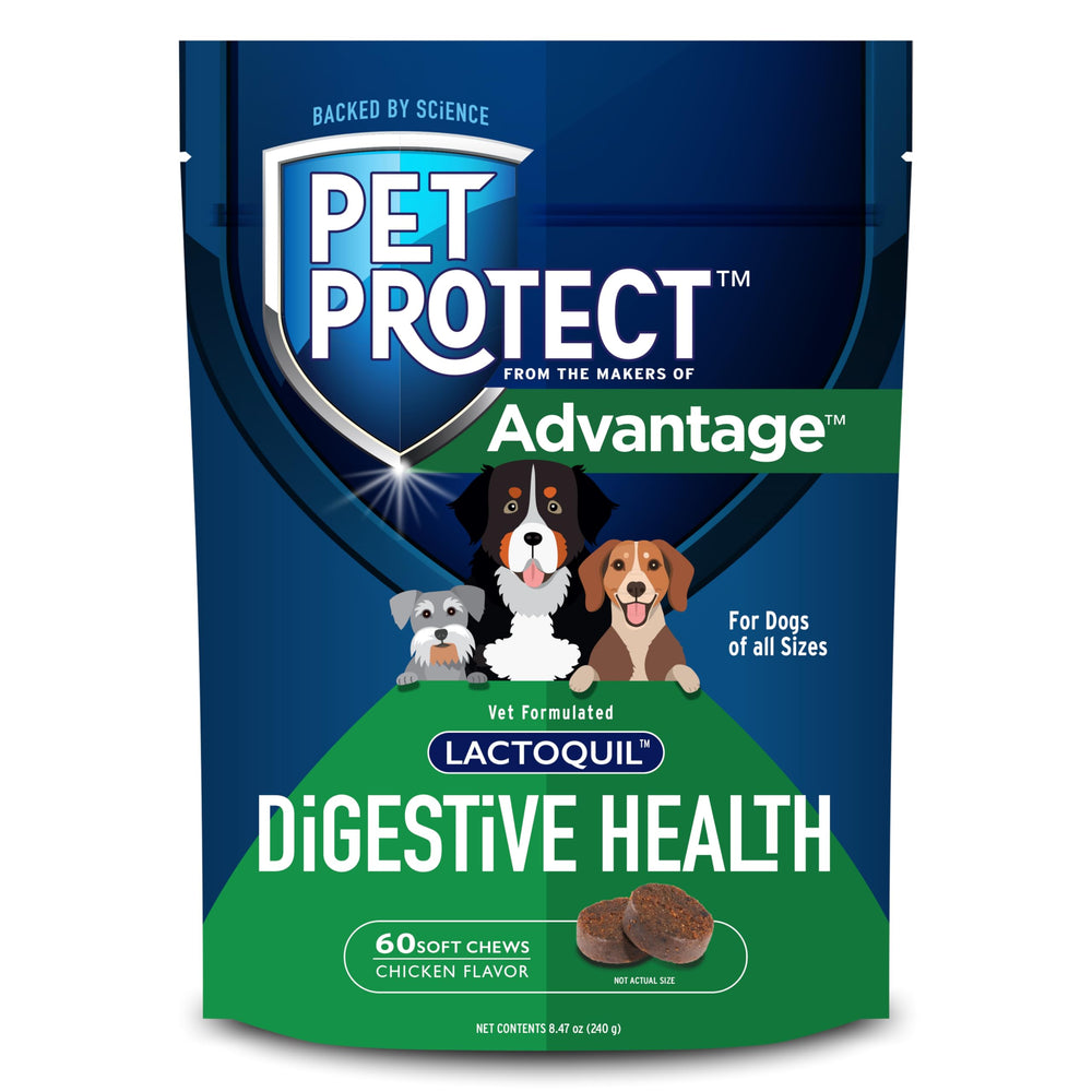 Pet Protect Digestive Health bottle shows packaging for daily gut support.