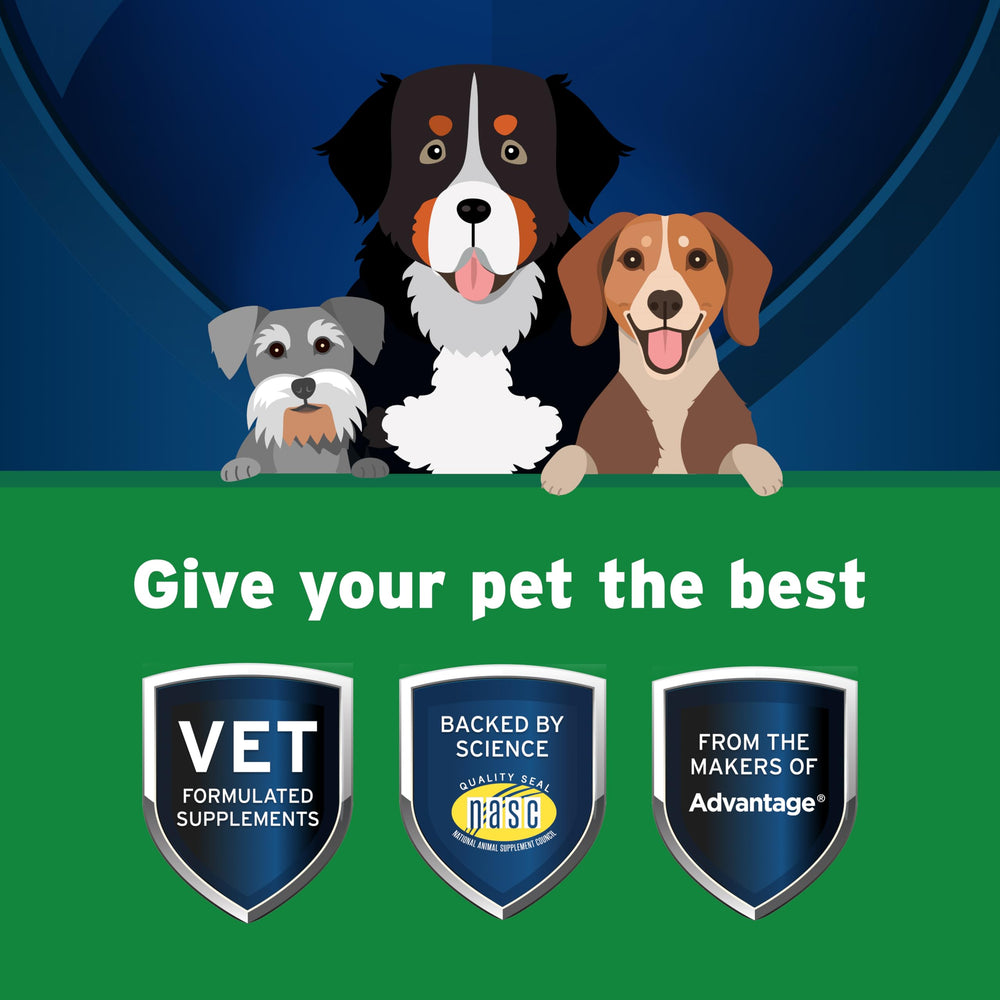 Pet Protect Digestive Health label closeup reveals probiotic ingredients for gut balance.