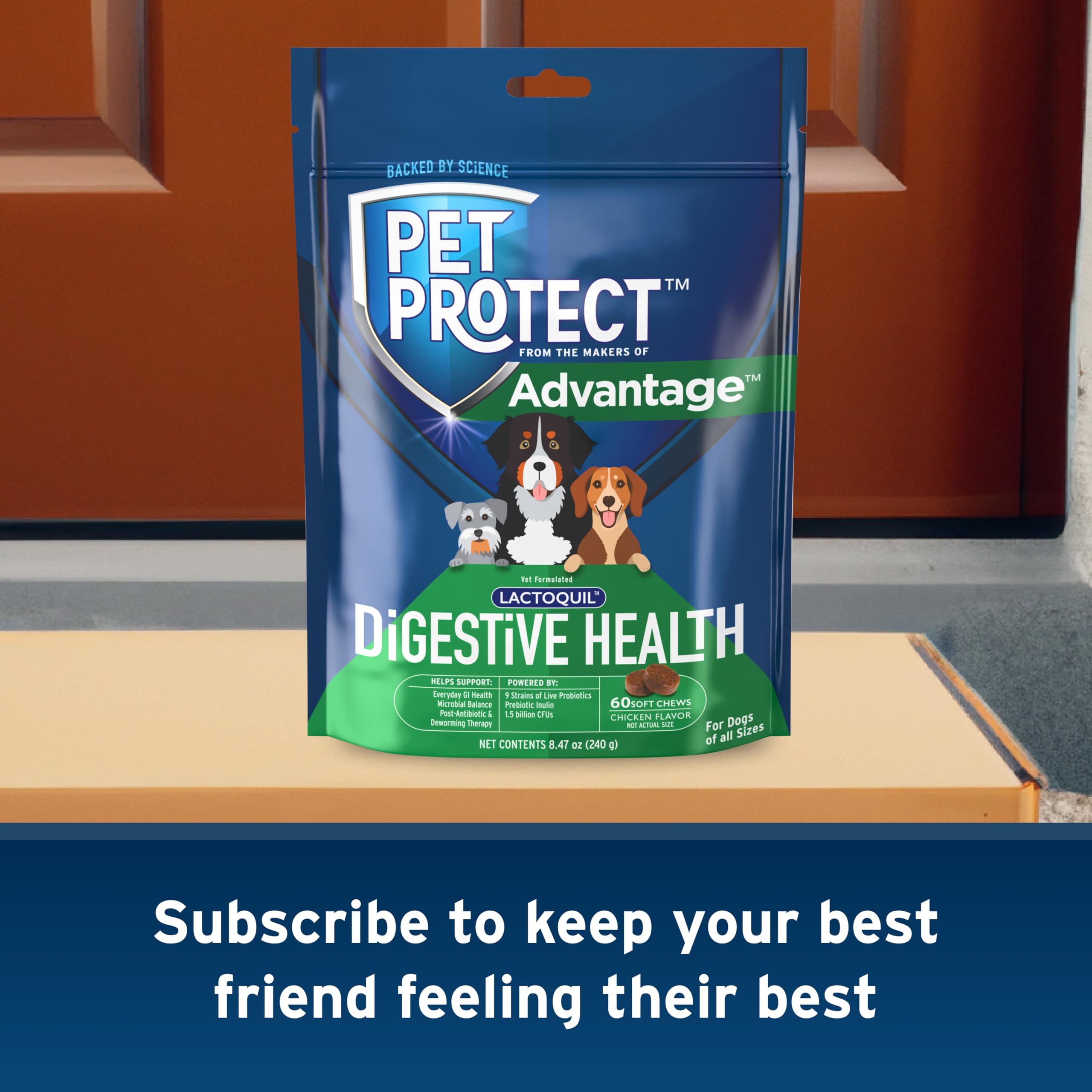 Pet Protect Digestive Health supports gut balance during post-antibiotic care.