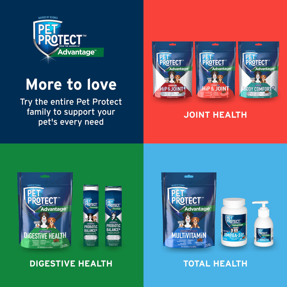Pet Protect Digestive Health probiotic ingredients closeup underscores multiple strains.