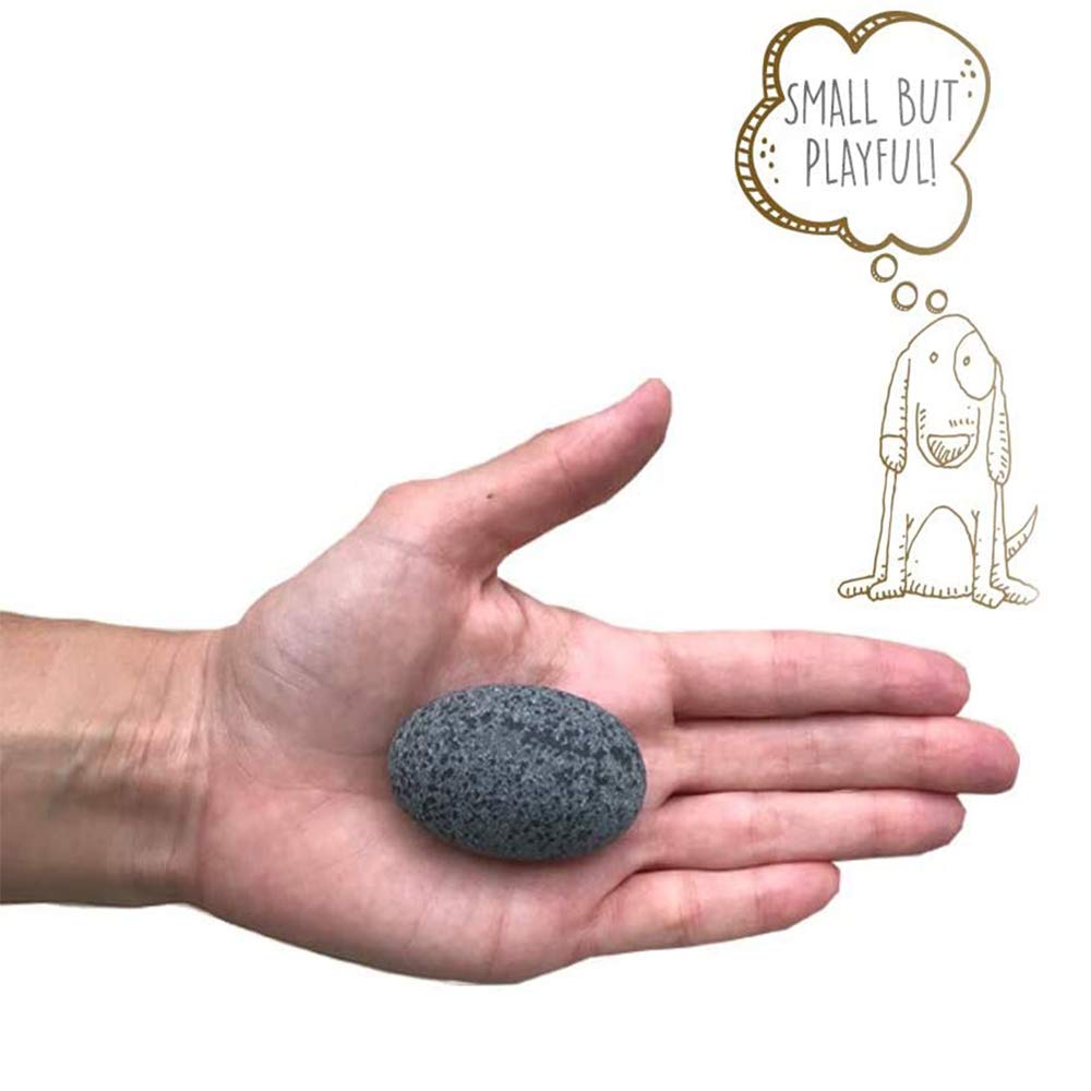 Pet Rock display shelf shot demonstrates easy setup for shelf-ready decor.