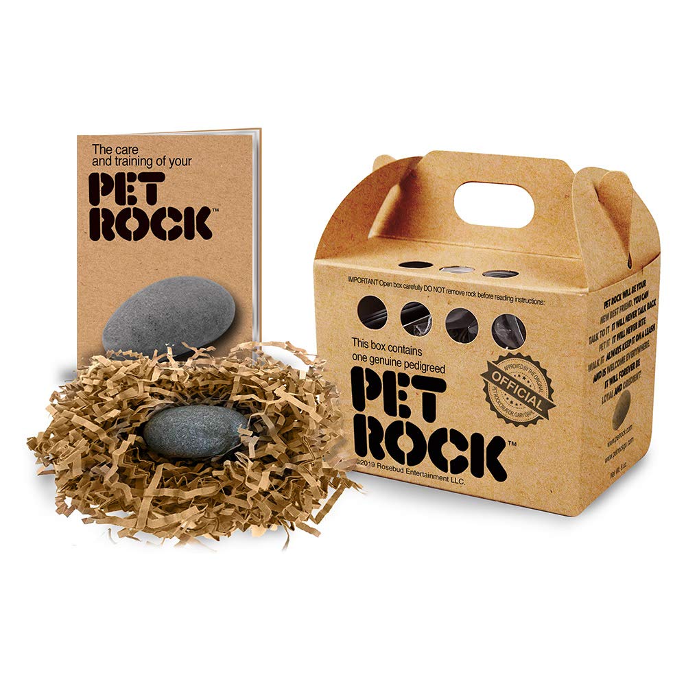 Pet Rock The Original Gary Dahl front view, a playful desk companion.
