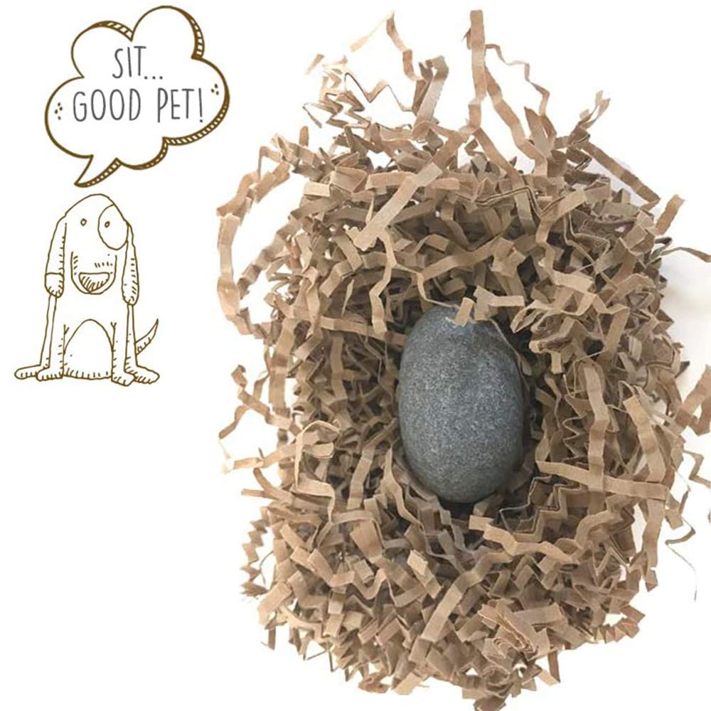 Pet Rock travel crate detail shows a compact carry-friendly option for on-the-go transport.