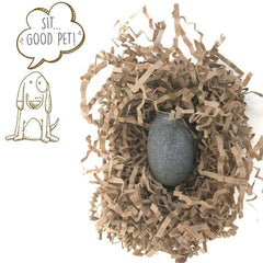Pet Rock travel crate detail shows a compact carry-friendly option for on-the-go transport.