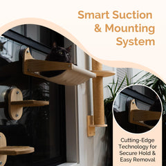 Pet Savvy 4-in-1 wall-mount perch saves space and creates an apartment-friendly cat furniture.