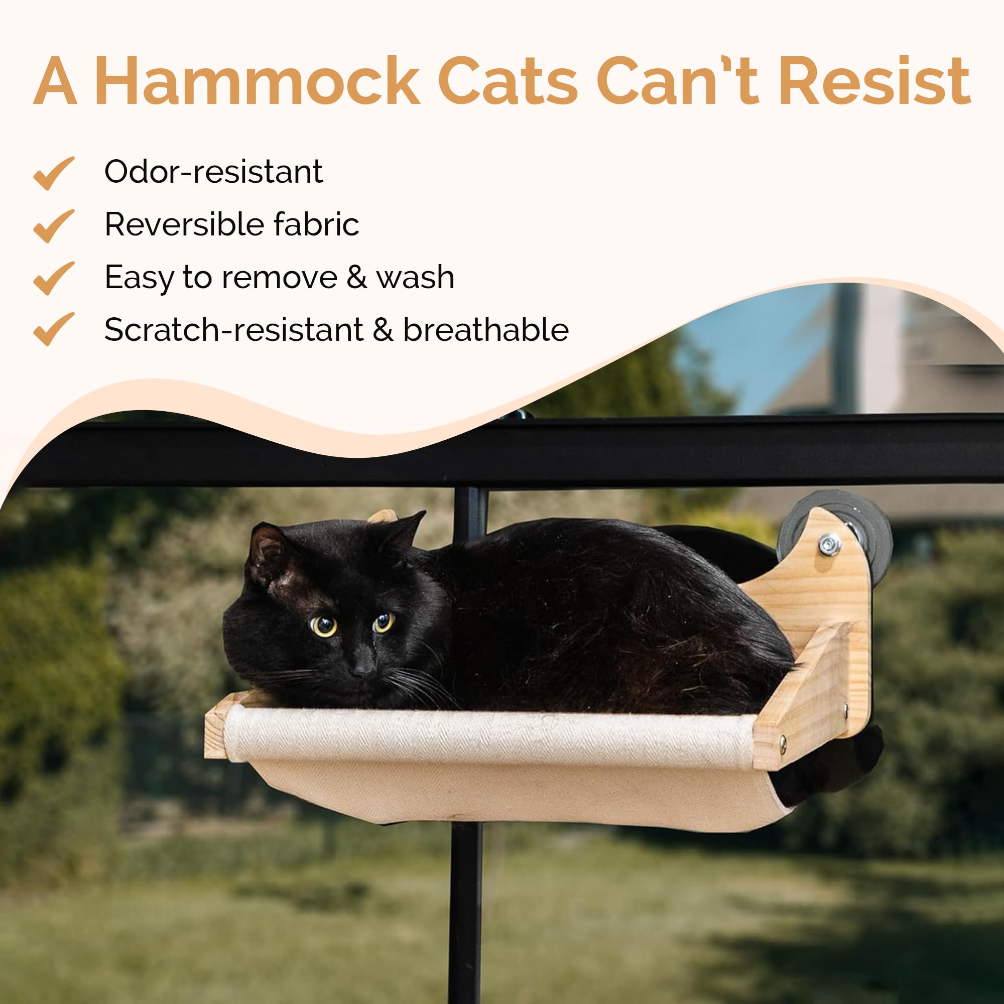 Pet Savvy 4-in-1 pine wood construction offers sturdy support up to 25 lbs.