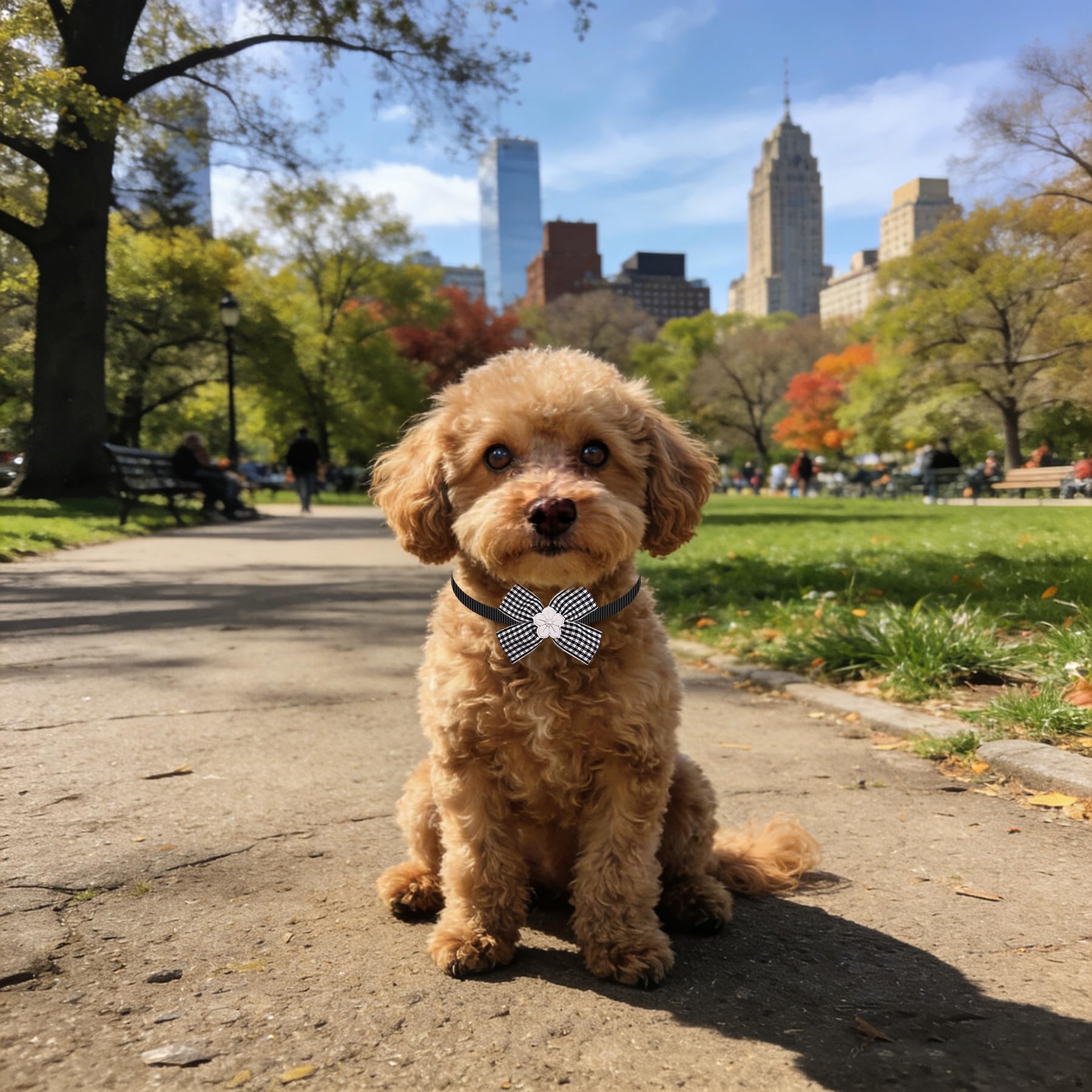 PET SHOW bulk 50-pack bow ties for grooming sessions.