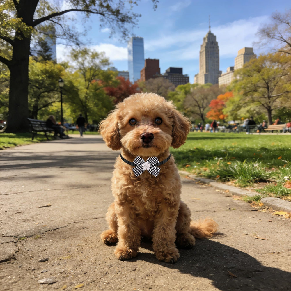 PET SHOW bulk 50-pack bow ties for grooming sessions.