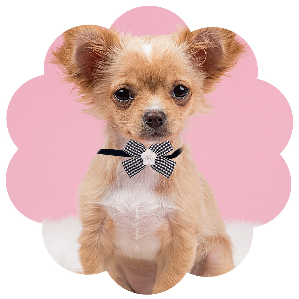PET SHOW bows measure 7–8.5 cm, fitting 20–35 cm necklines.