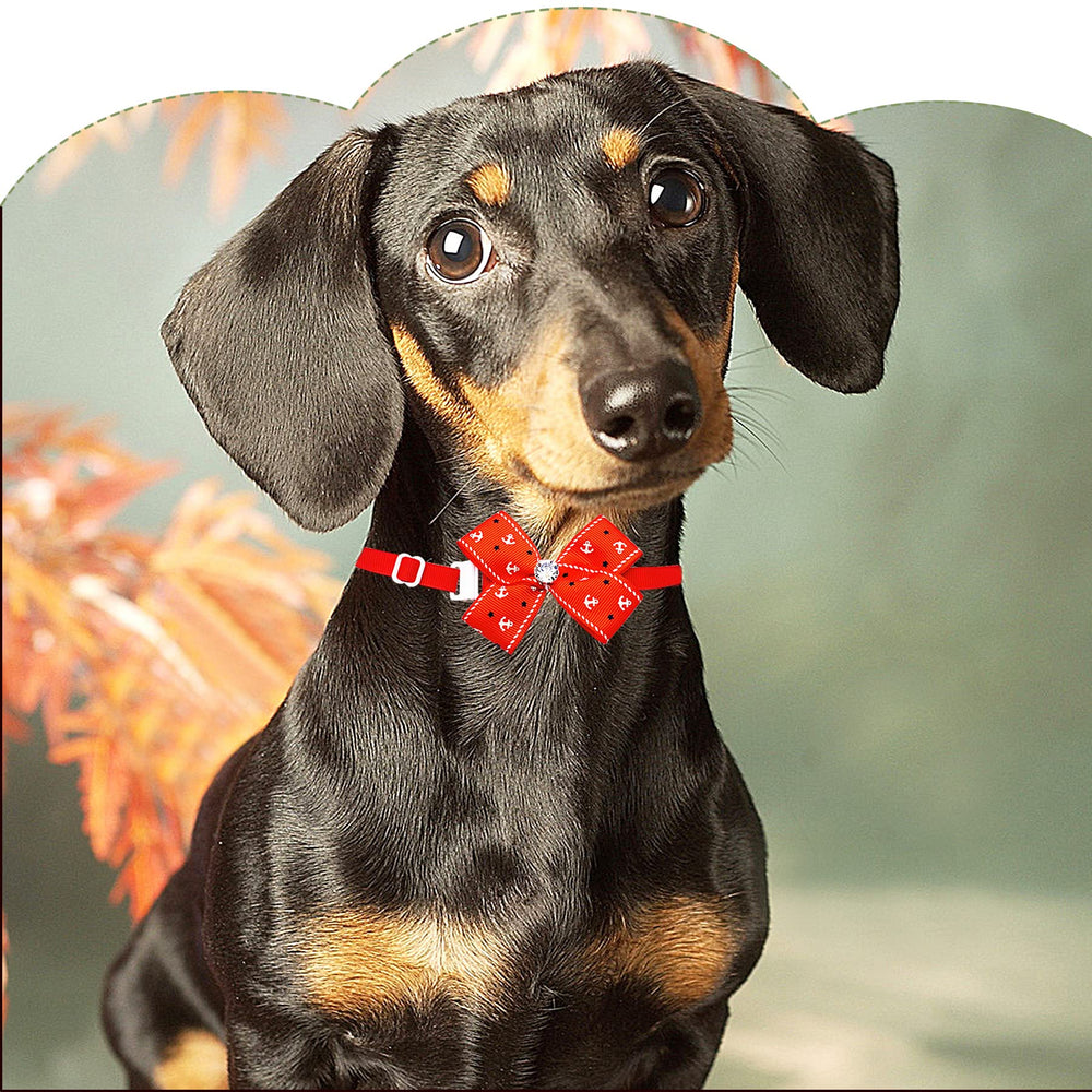 PET SHOW adjustable neck ties for small pets like cats.