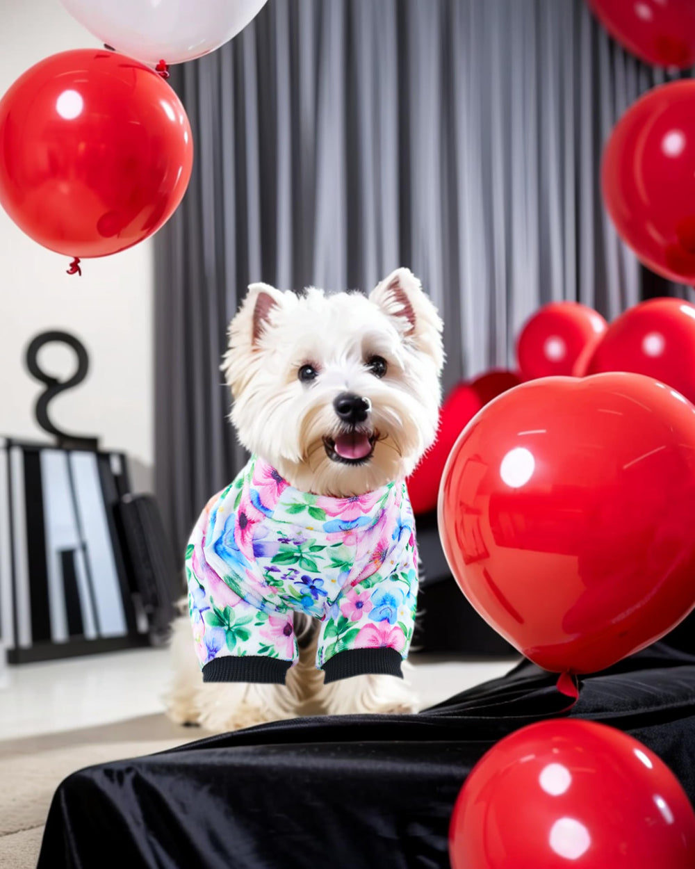 PET SHOW belly open design small dog pajamas for convenient potty breaks