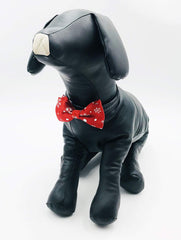 PET SHOW bowtie plaid pattern for versatile holiday outfits.