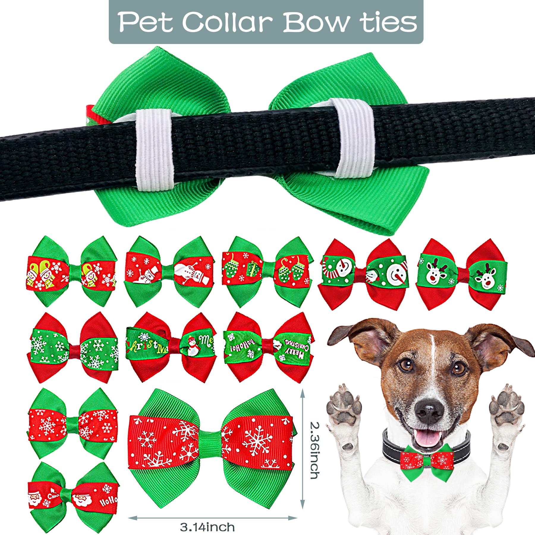 PET SHOW collar bowties slipping onto harness for secure accessory wear.