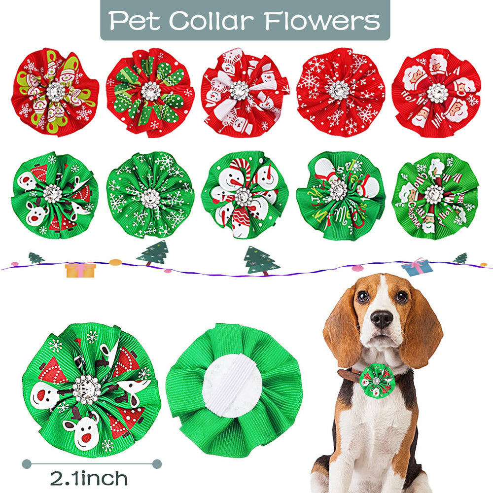 PET SHOW collar flowers on harness highlight decorative pet styling.
