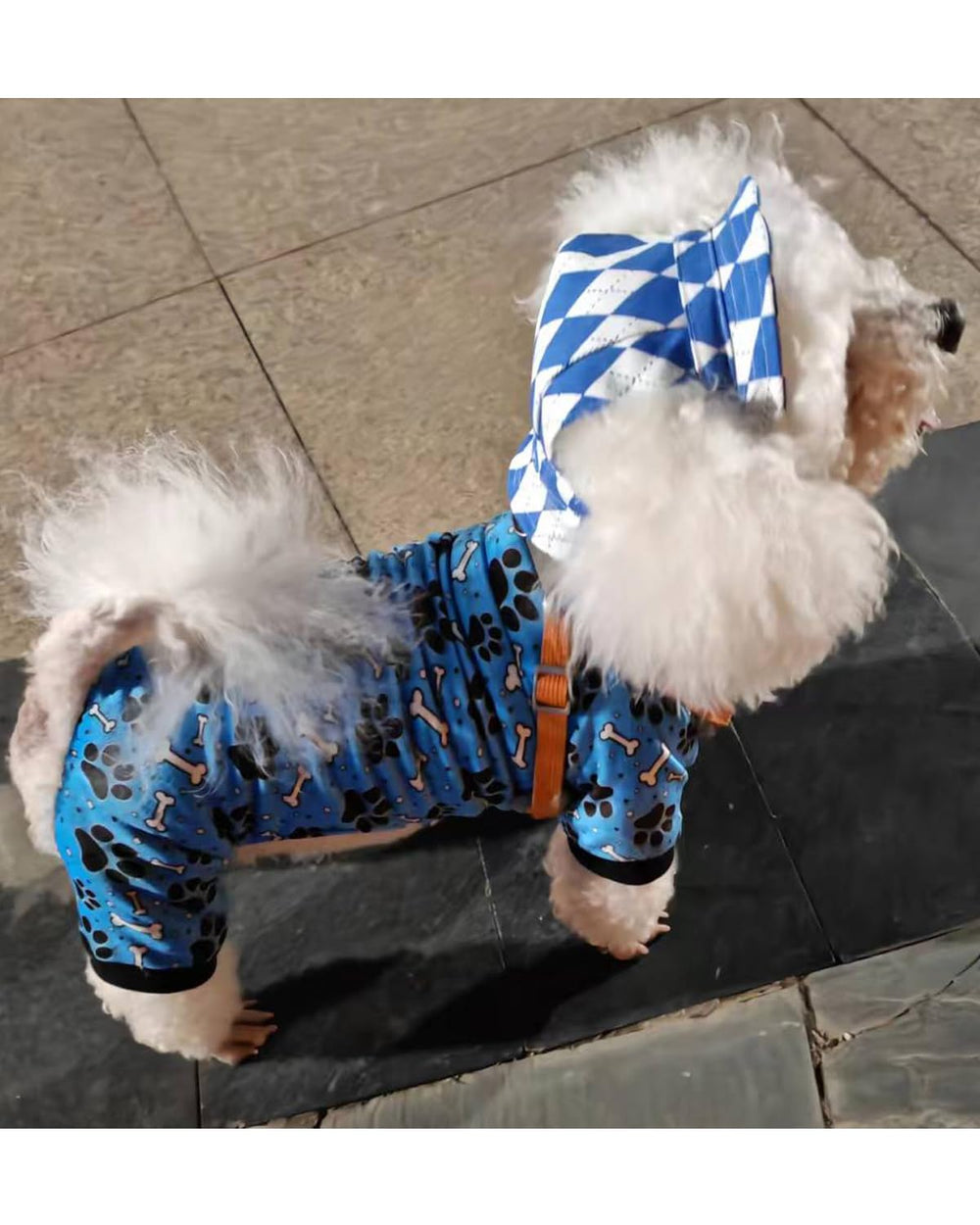 PET SHOW color options image helps you mix outfits for pets in multi-pet households.