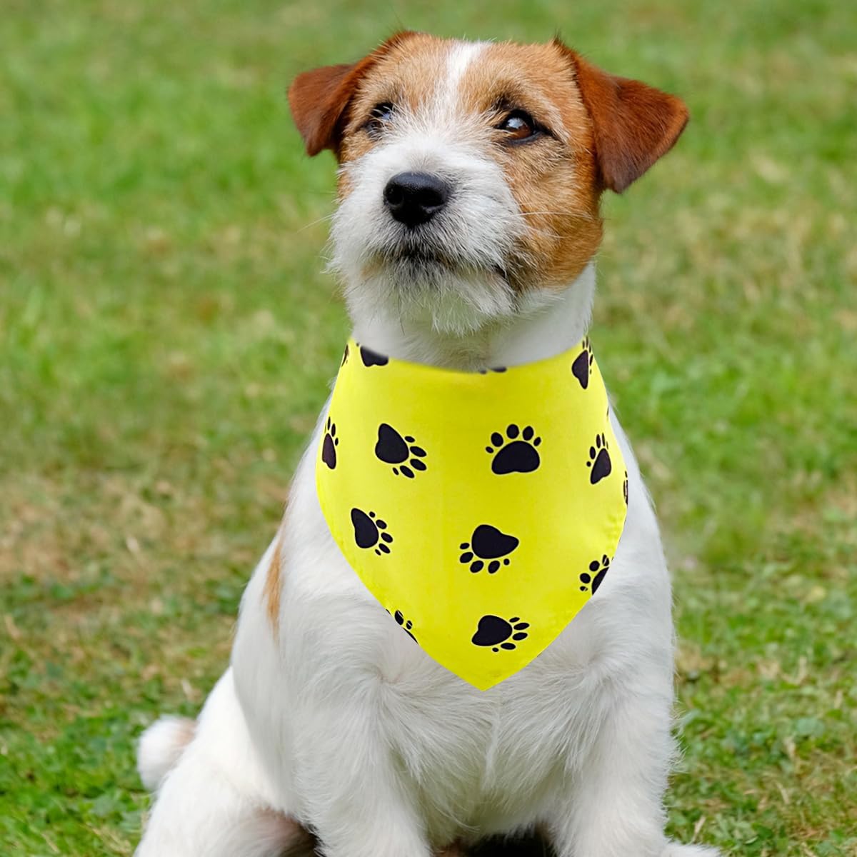 PET SHOW foldable lightweight dog bandana for small pets