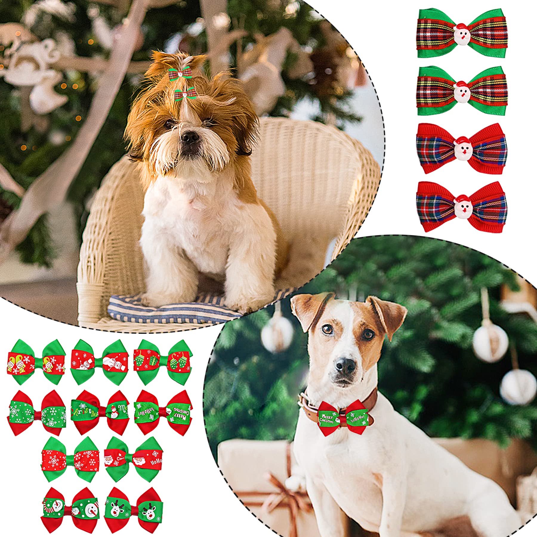 PET SHOW gift-ready set packaging for bulk holiday shopping.