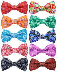PET SHOW paisley bow tie on a small dog adds daily outfit flair.
