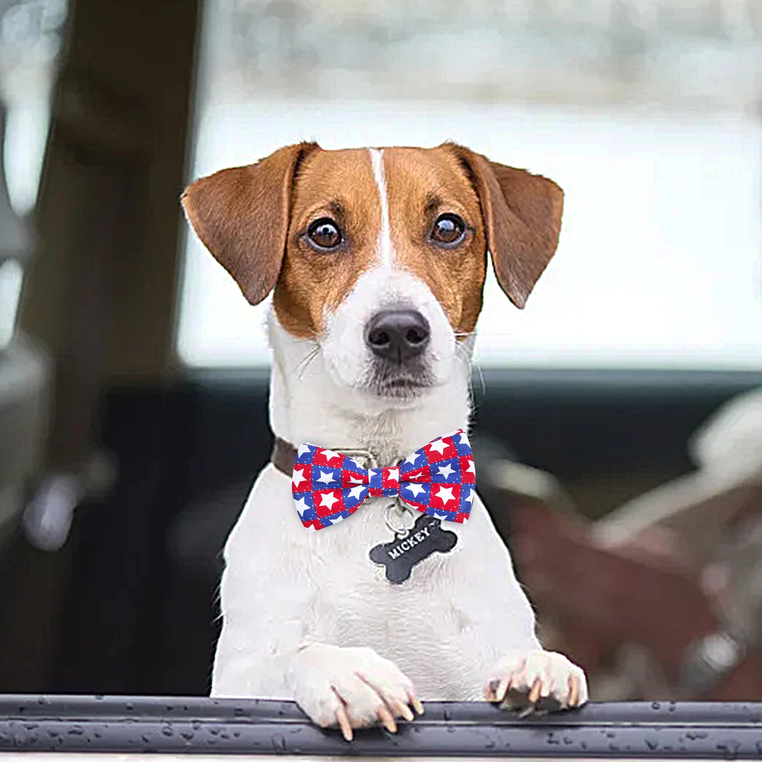 PET SHOW patriotic-bowties-for-pets elevate holiday outfits and social media posts.