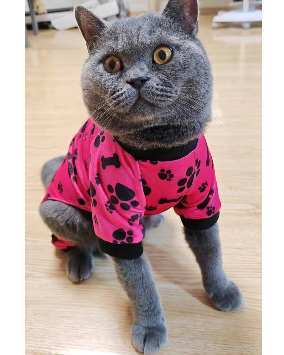 PET SHOW potty-friendly belly opening promotes easy on off during quick bathroom breaks.