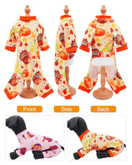 PET SHOW pumpkin-turkey-apple-mushroom-pattern worn during cozy at-home photos.