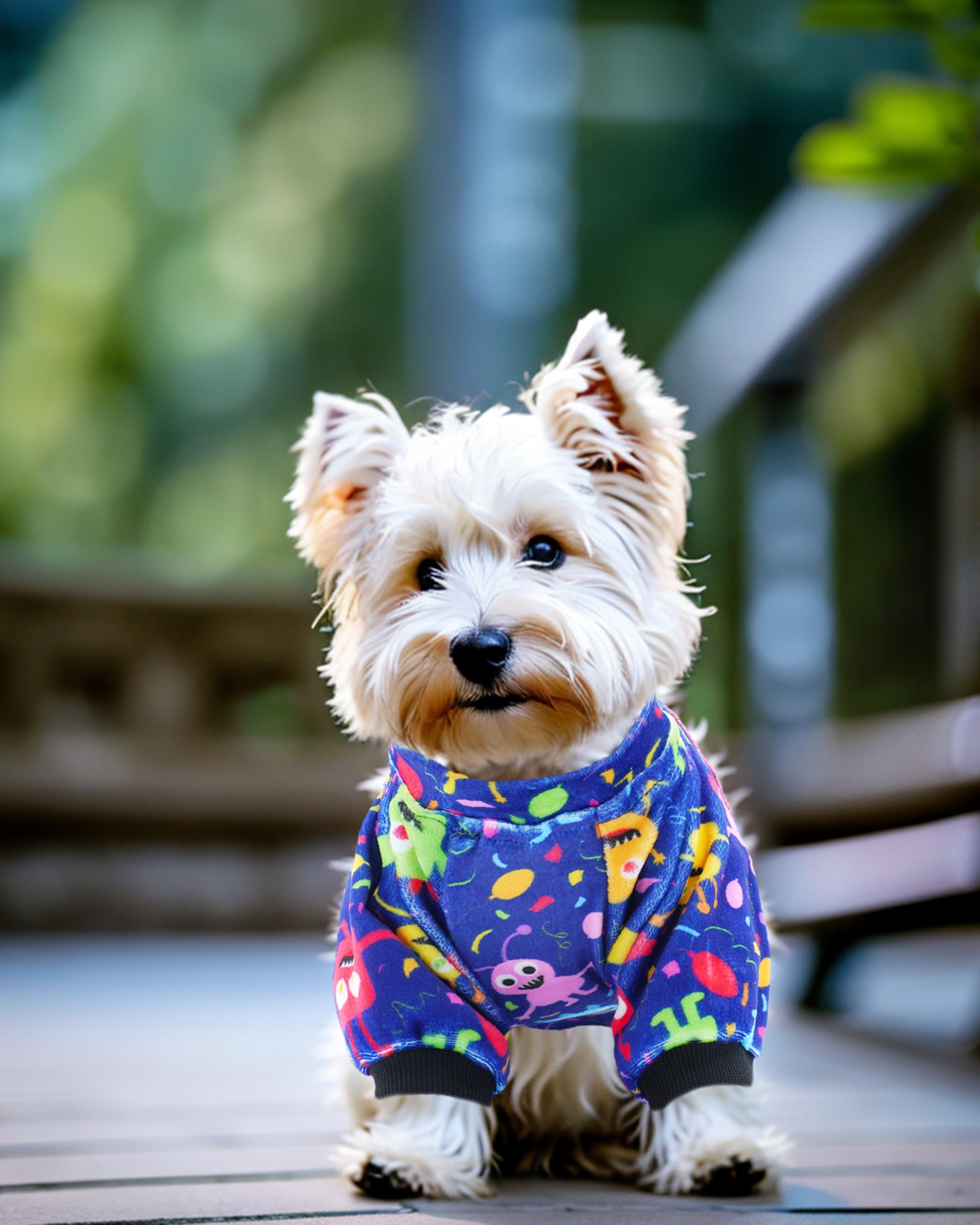 PET SHOW size range includes xs to xxl for most small and medium breeds.
