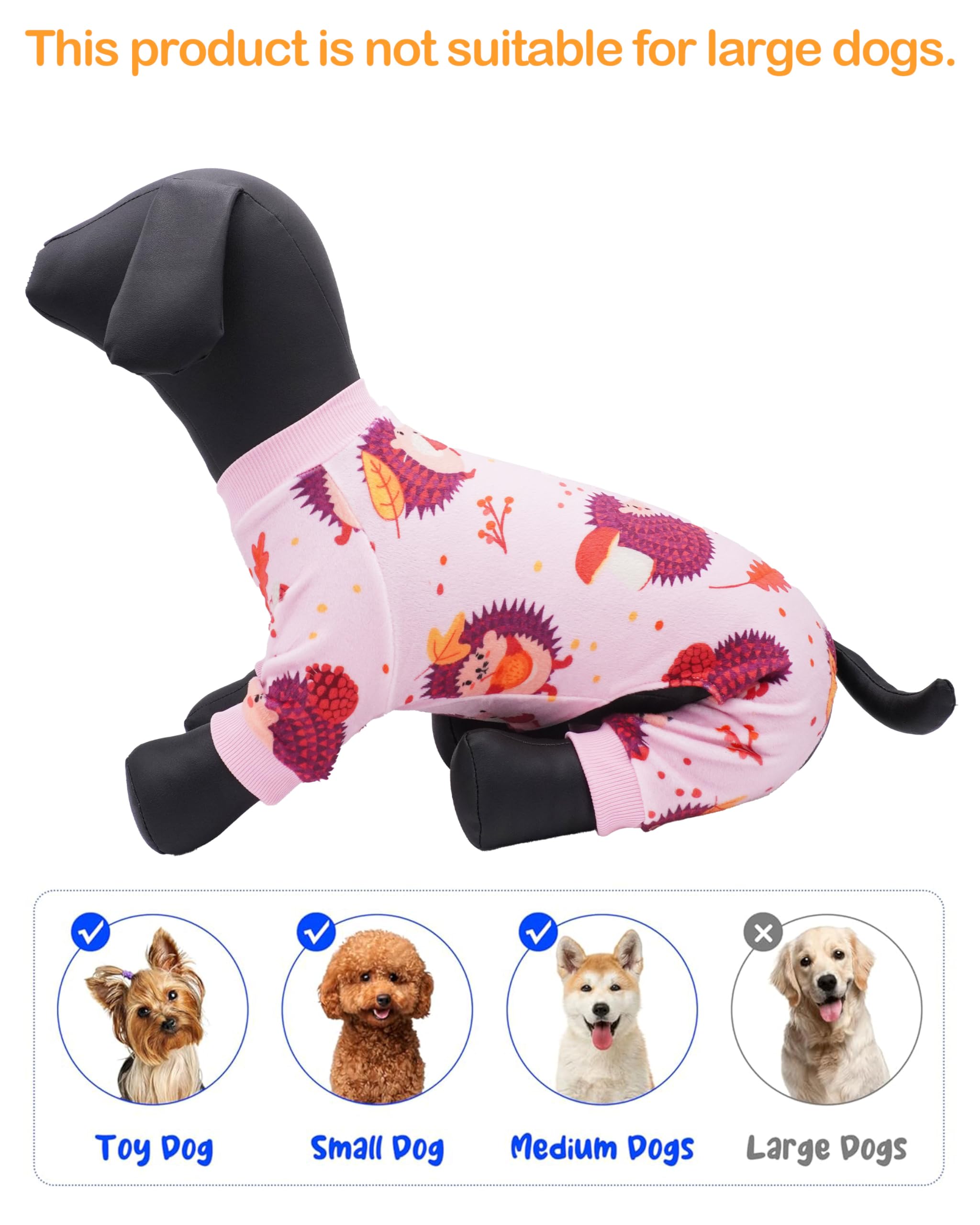 PET SHOW thanksgiving-jumpsuit design on a dog for festive photos.