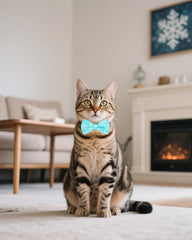 PET SHOW blue-green bow tie on small pet collar pairs with outfits.