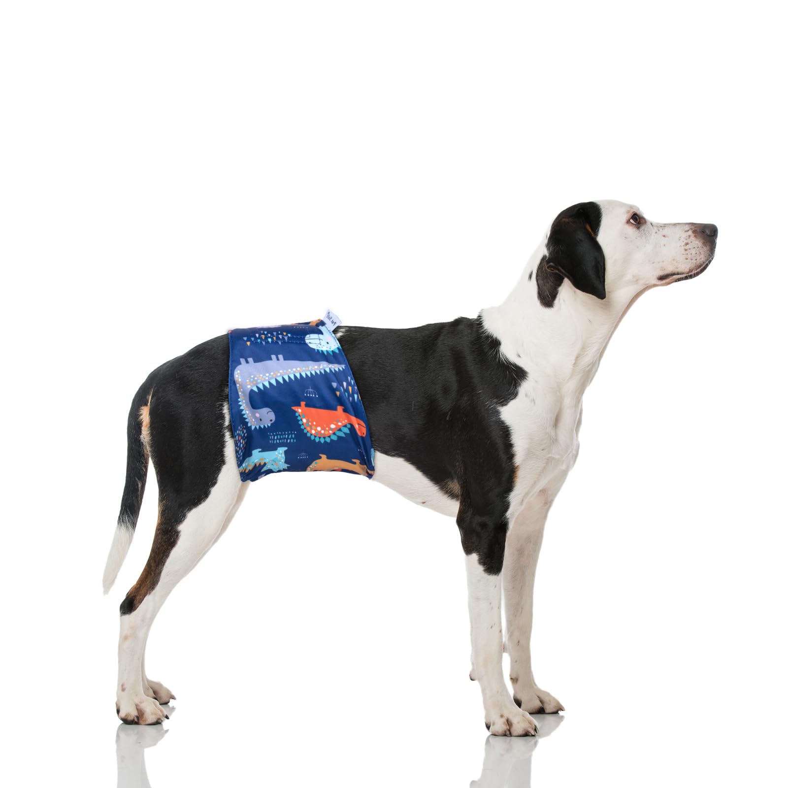 Pet Soft 3-pack packaging highlights value and easy rotation for multiple pets.