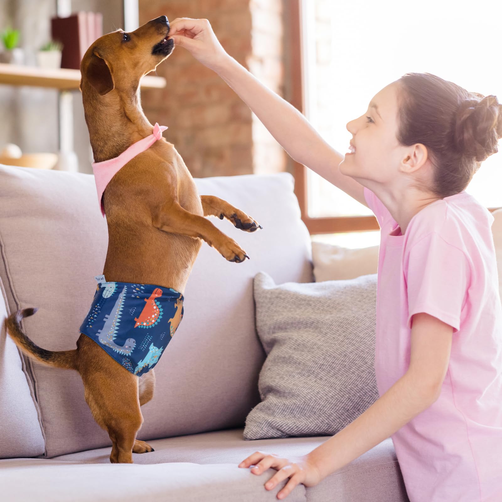 Pet Soft belly band elastic waistband ensures freedom of movement without slipping.