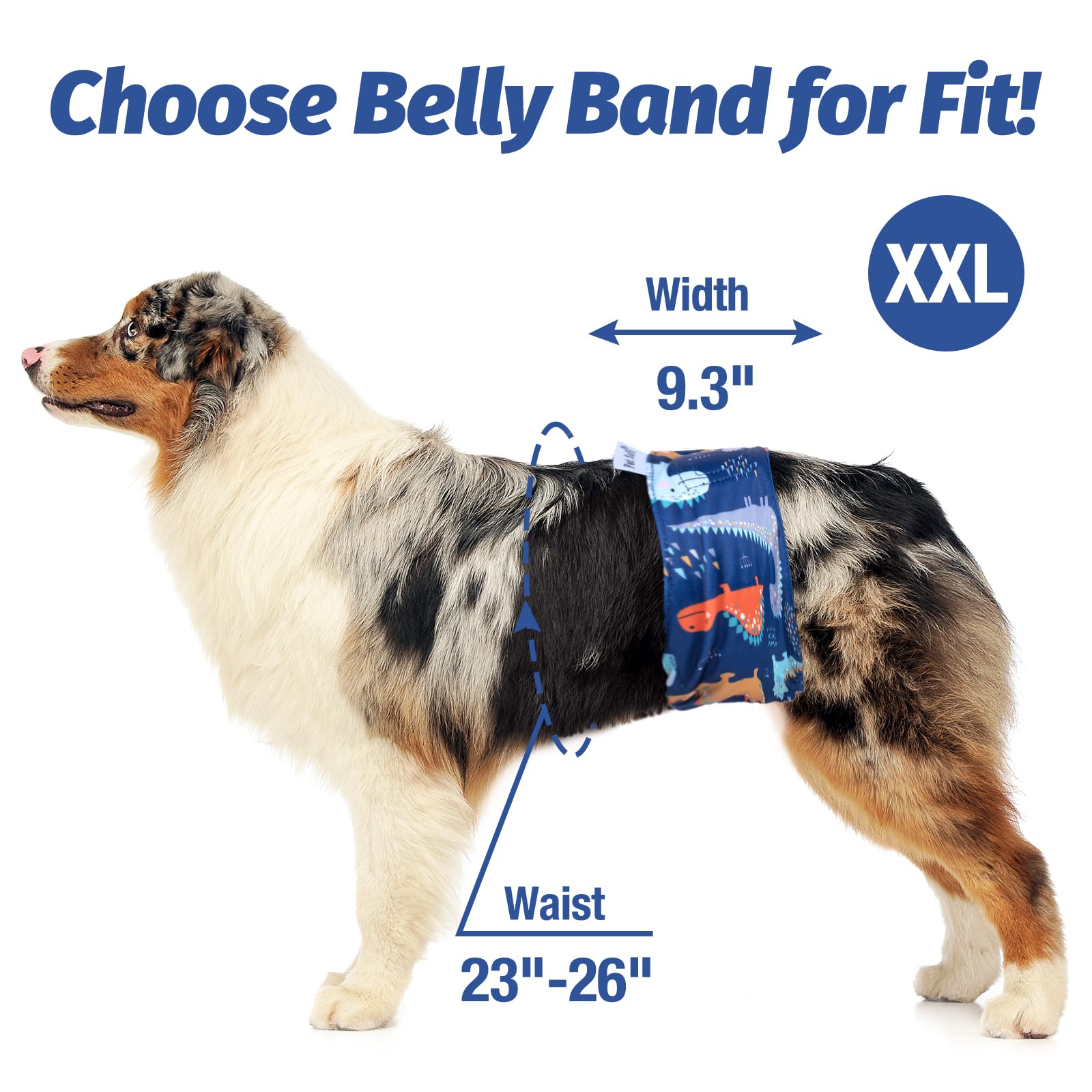 Pet Soft belly band leak-proof outer layer demonstrates protection during activities.