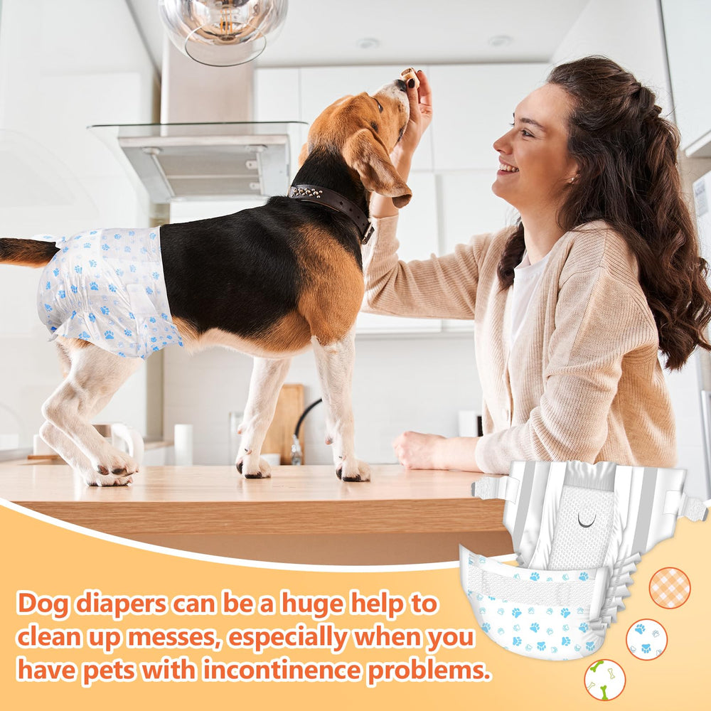 Pet Soft cat-size diaper option fits small cats confidently