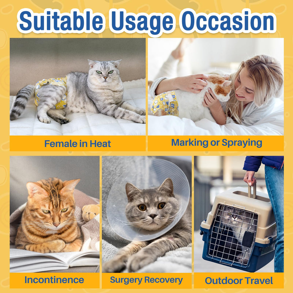 Pet Soft medium size measurement guide illustration