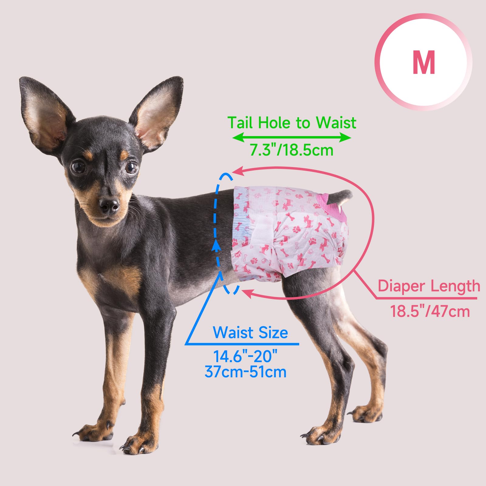 Pet Soft medium size with measurements guidance for a precise fit.
