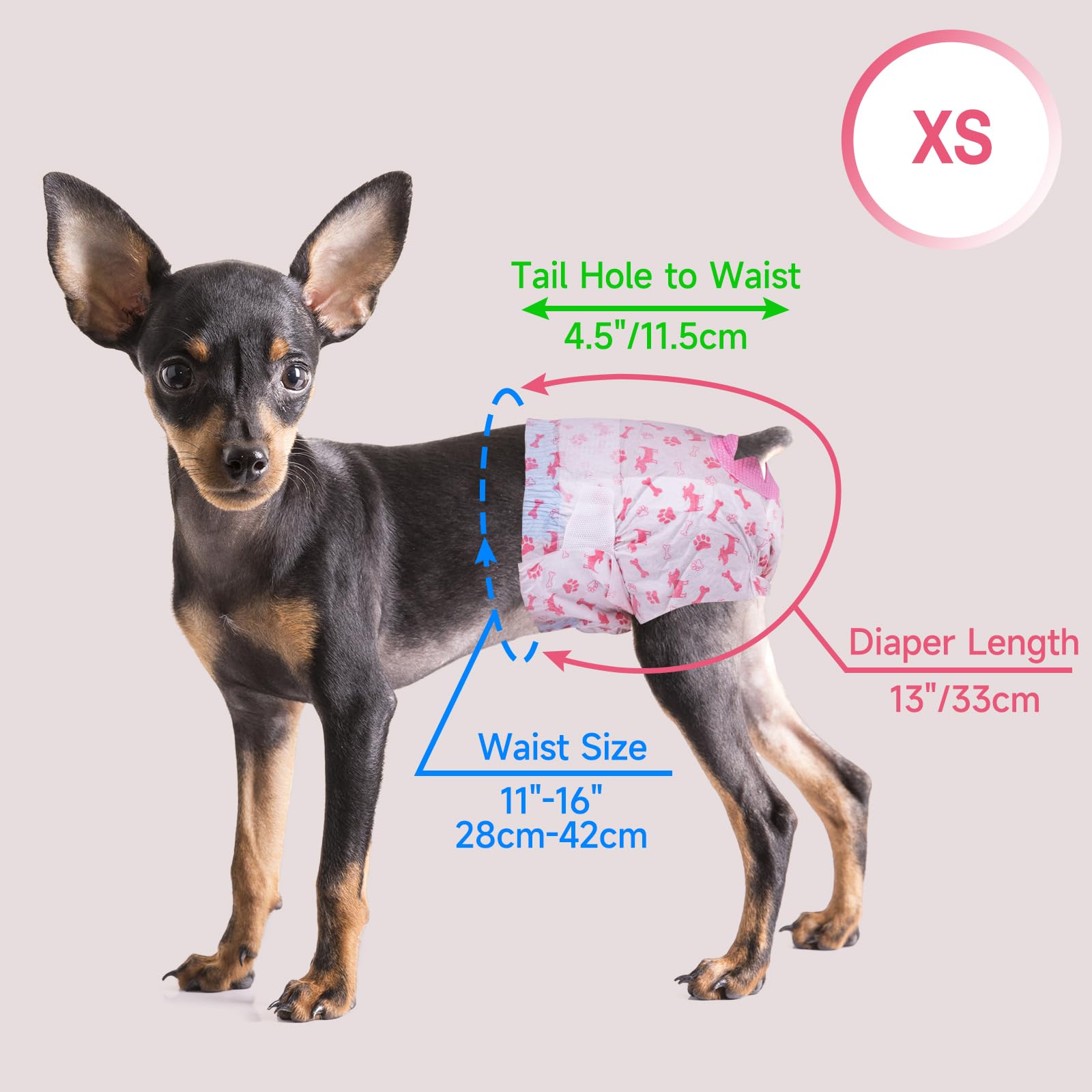 Pet Soft disposable dog diapers XS red fit guide to help select the right size