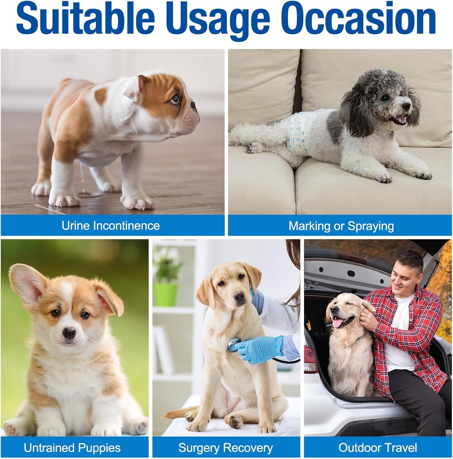 Pet Soft waist-measure guide image emphasizes correct sizing for comfortable fit.