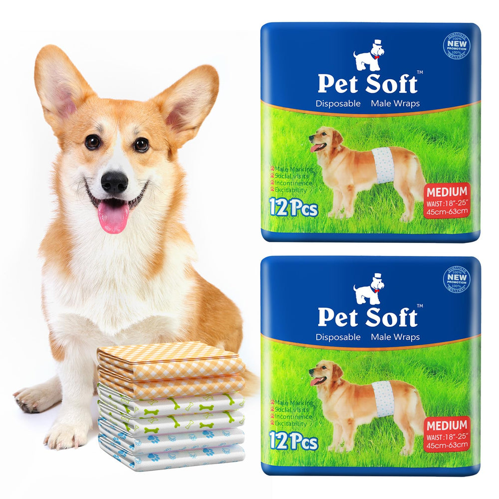 Pet Soft disposable male dog wrap, medium waist 18-25 inches, reliable protection during walks.