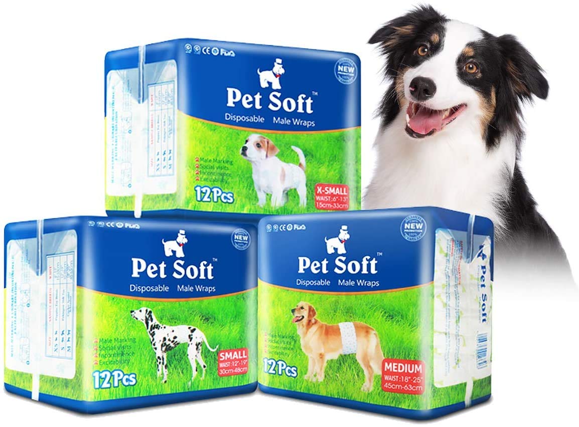 Pet Soft disposable male dog wraps front view; lightweight protection for tiny dogs.