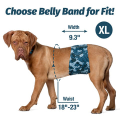 Pet Soft dog belly band three-pack laid out with patterns for multiple dogs.