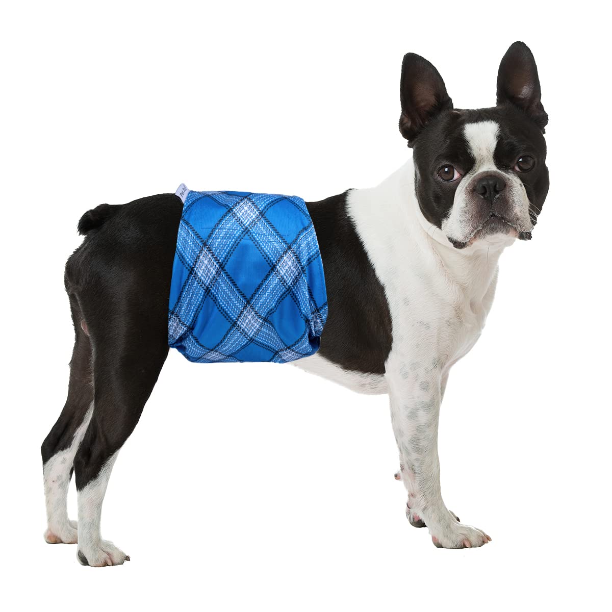 Pet Soft belly band in use scenarios like training or travel for leak control.