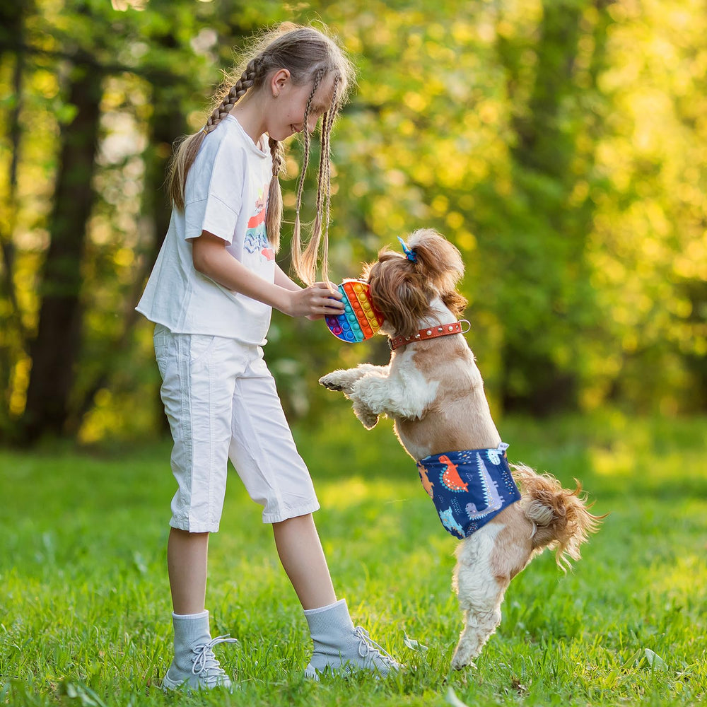 Pet Soft belly band for untrained dogs and marking prevention at home.